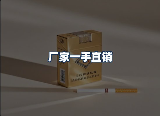 专业团队办公环境